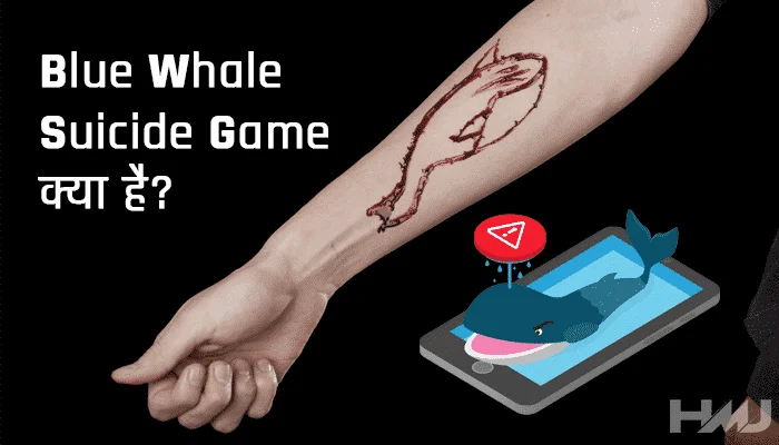 Blue Whale Suicide Challenge Game Hindi