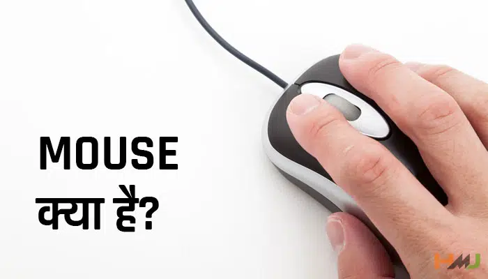 Mouse Kya Hai in Hindi