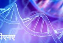 DNA Ka Full Form Kya Hai Hindi