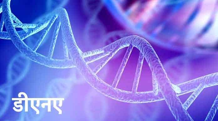 DNA Ka Full Form Kya Hai Hindi