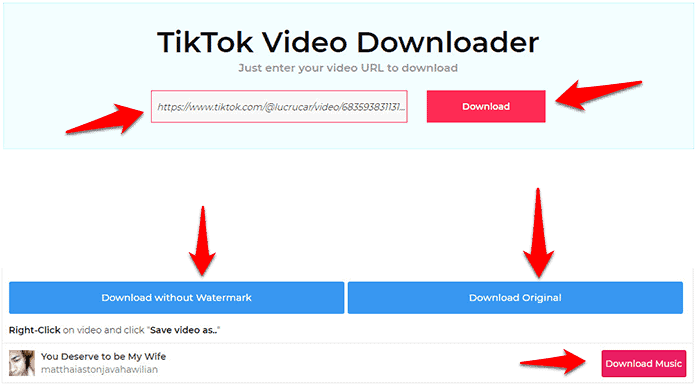 tik tok video kaise download kare