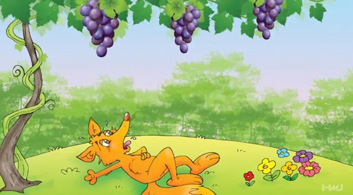 fox grapes hindi stoty